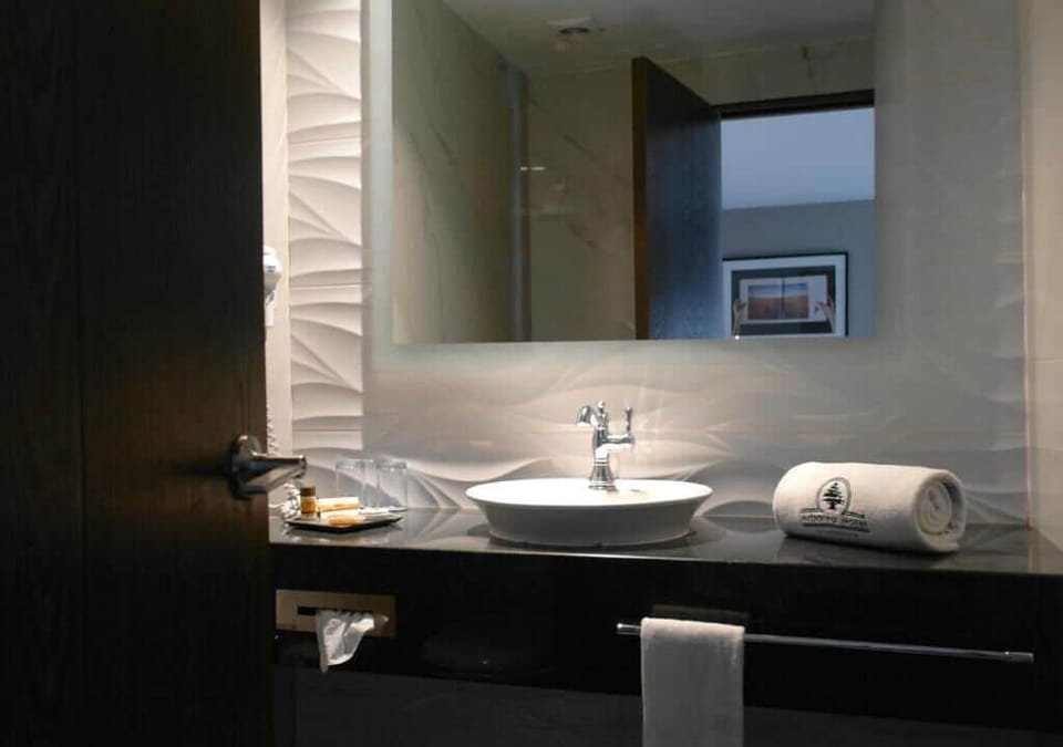 Shower, rainfall showerhead, free toiletries, hair dryer