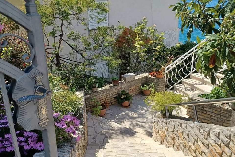 Garden [summer]