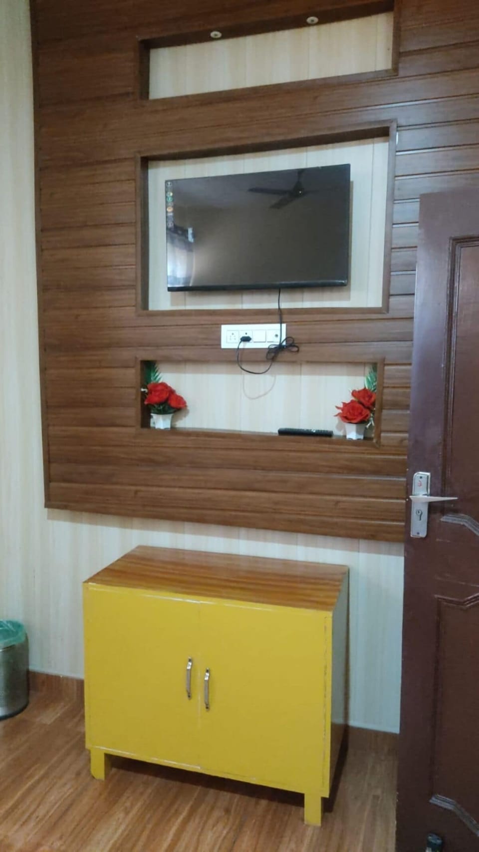Television