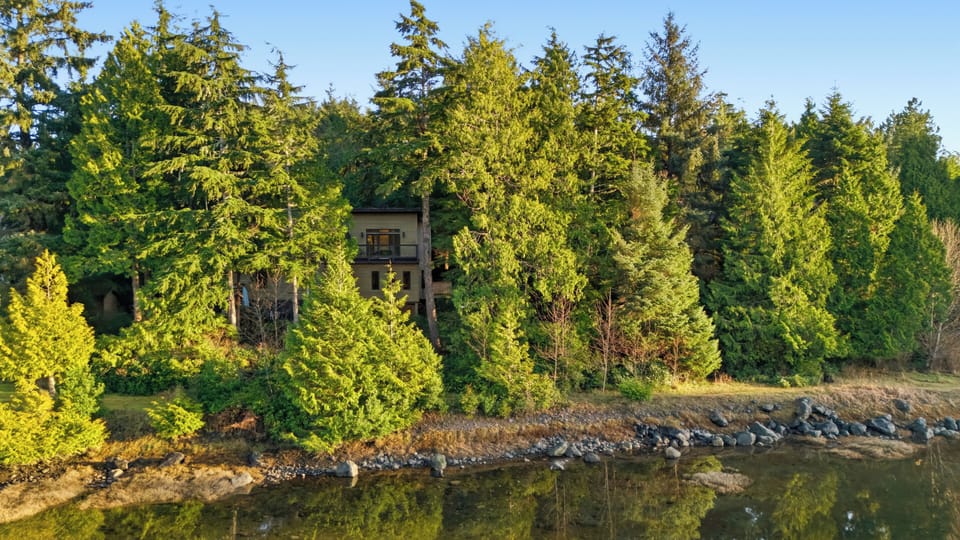 Aerial perspective of the property and its surroundings.