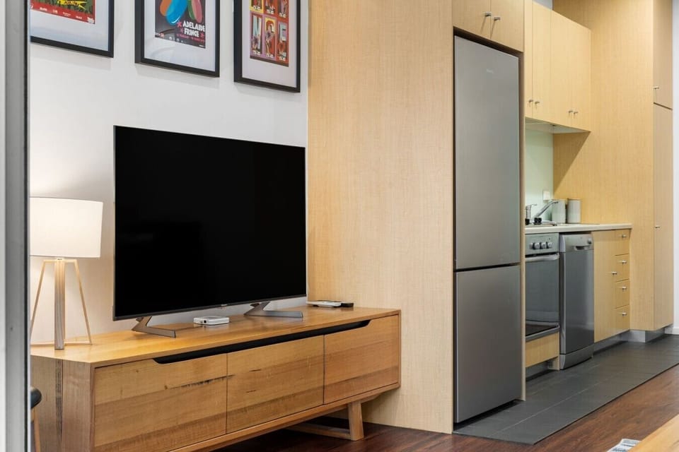TV and fridge