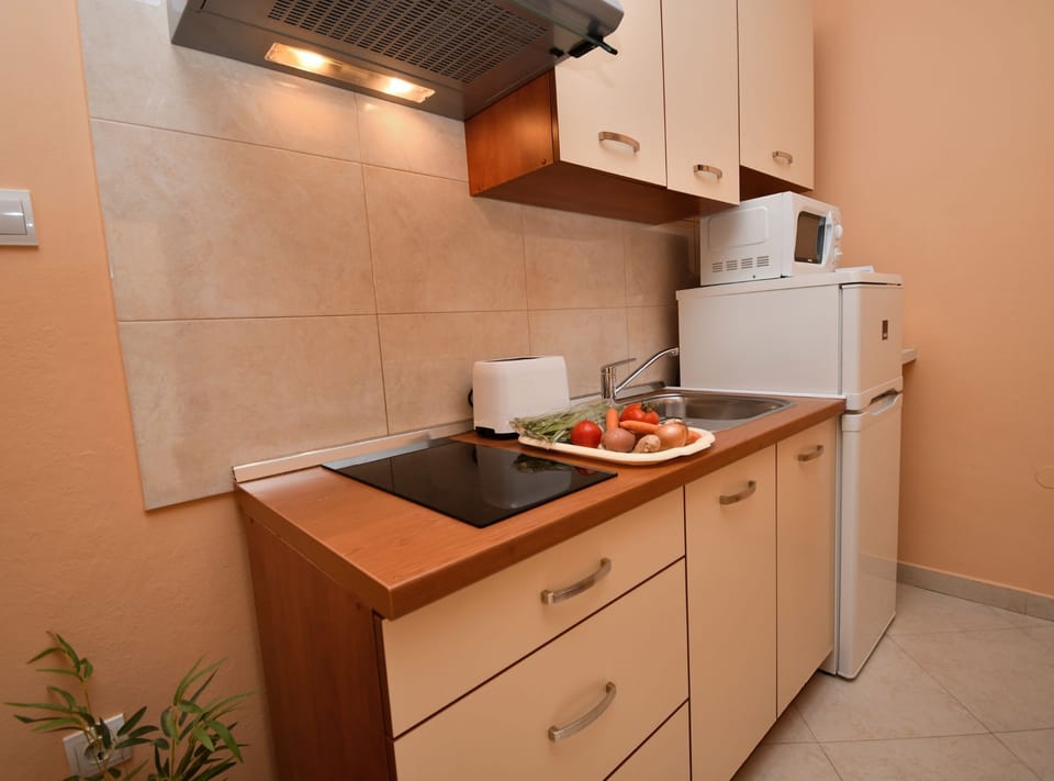 Apartment (Two Bedroom Apartment with Terrace) | Private kitchenette | Fridge