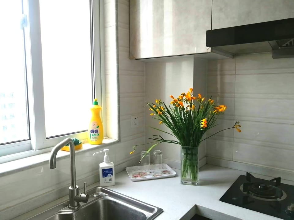 Family Apartment, City View | Private kitchen | Fridge, electric kettle, cookware/dishes/utensils