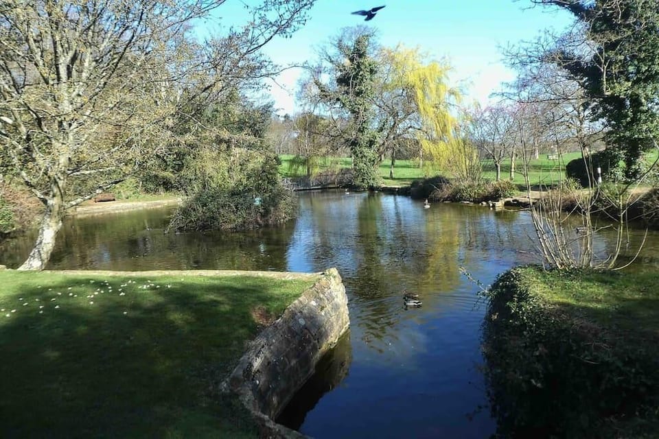Pond Area