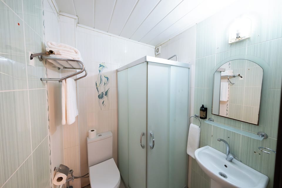 Standard Room, City View | Bathroom | Shower, free toiletries, hair dryer, slippers
