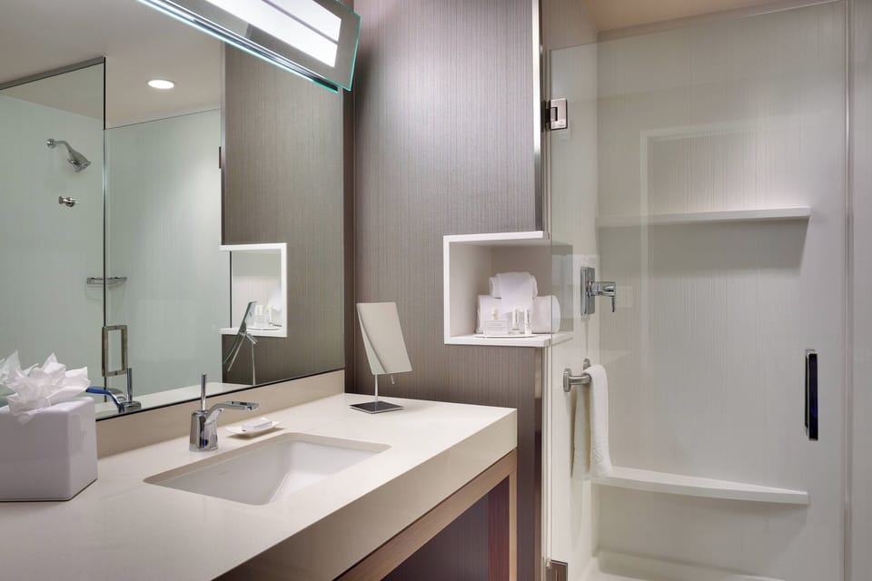 Hair dryer, towels, soap, shampoo