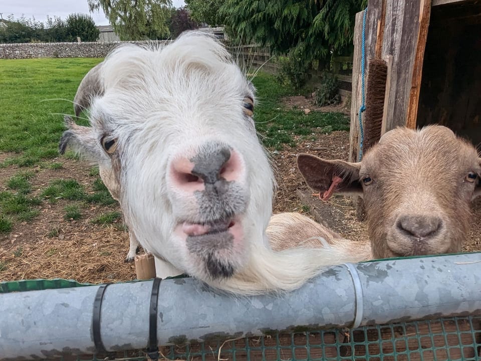 The Old Farmhouse at Brackenthwaite Farm Cottage in England