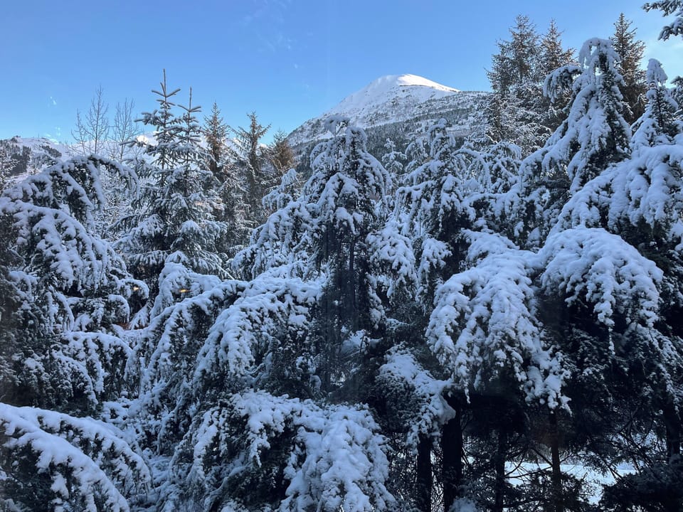 View from living room window