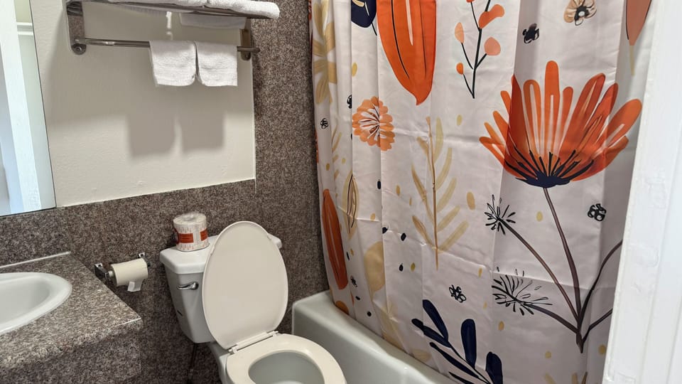 Standard Room, 1 Queen Bed, Non Smoking, Private Bathroom | Bathroom | Combined shower/tub, towels, soap, toilet paper