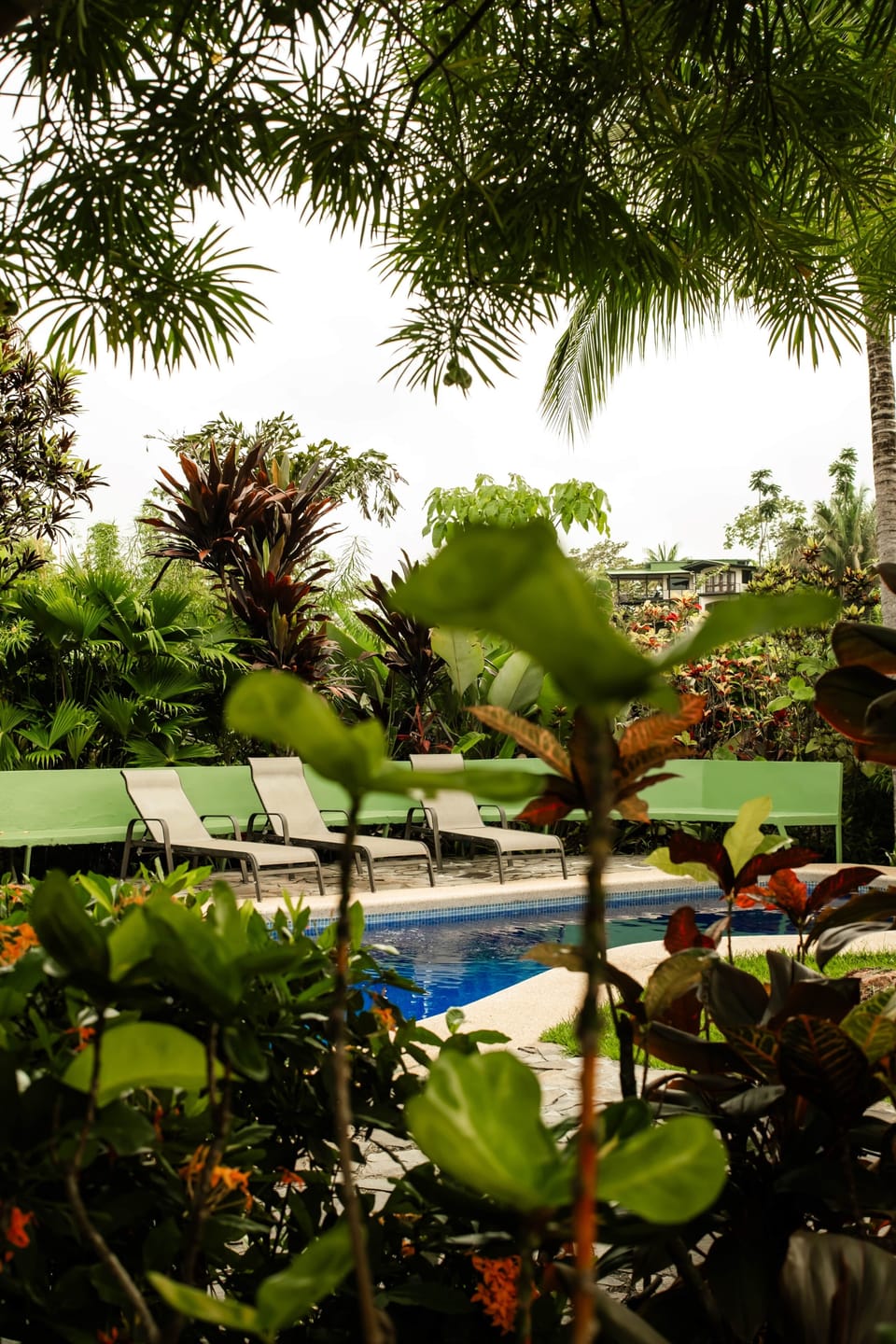Relaxing Pool