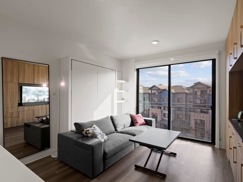 Living Area / Murphy Bed