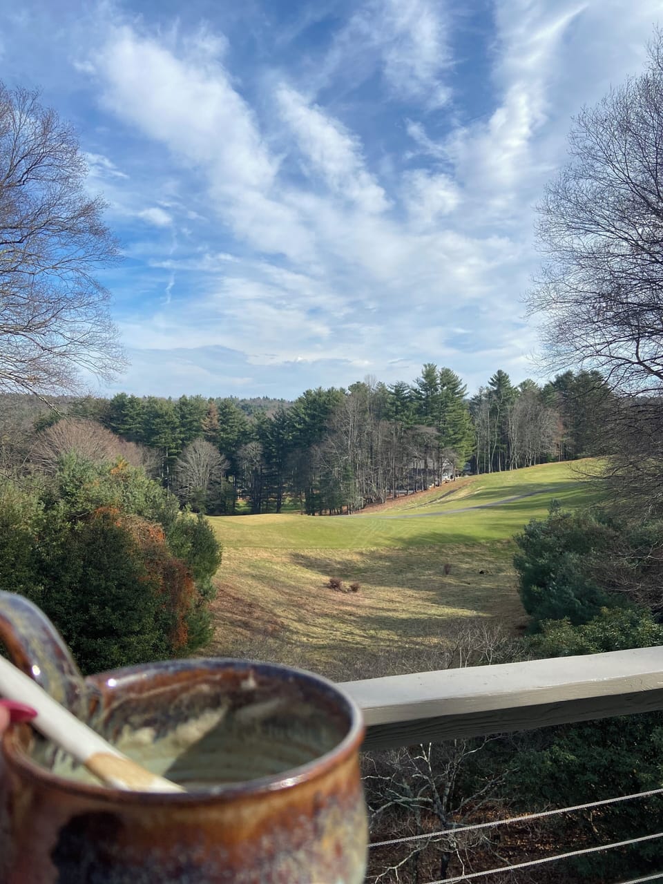 Surrounded by trees, grounded by coffee