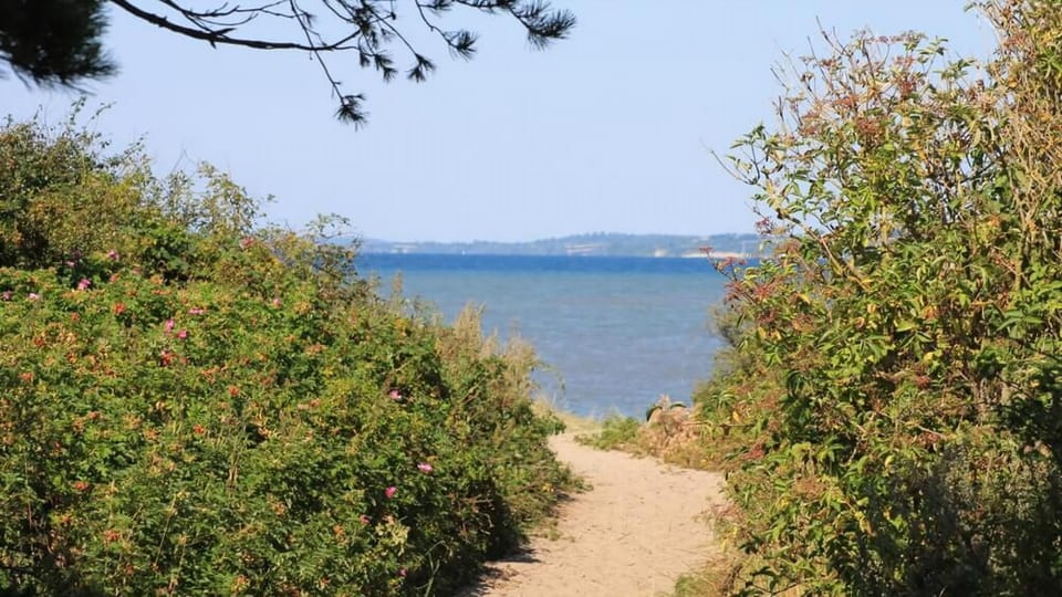 beach