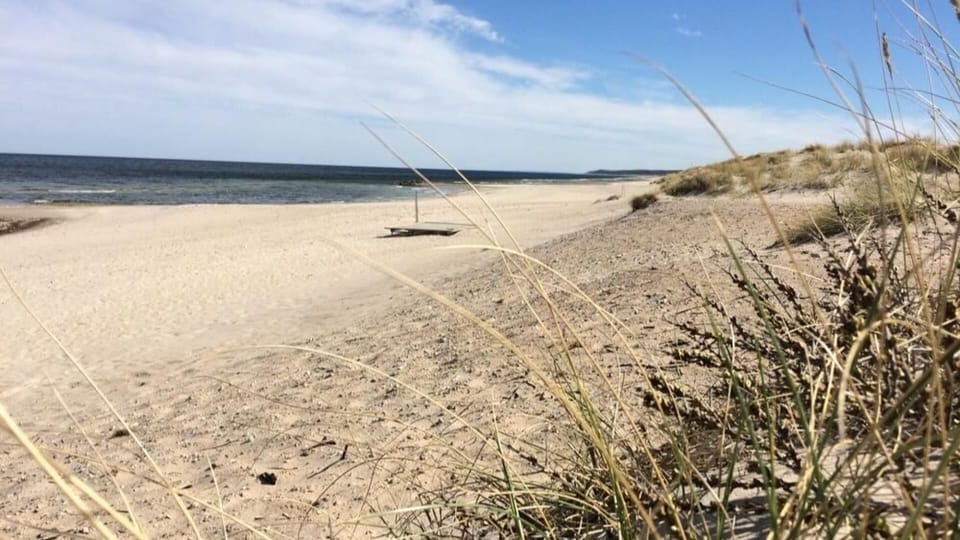 beach