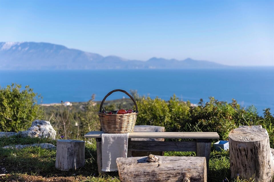 A picnic with a view.