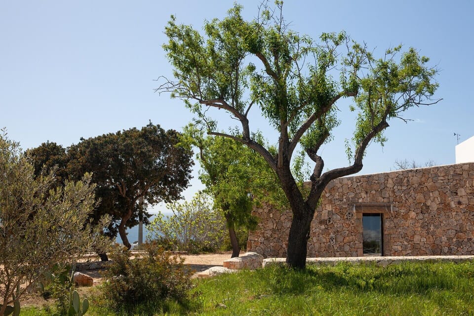 Approaching Il Tomaro through the gardens.