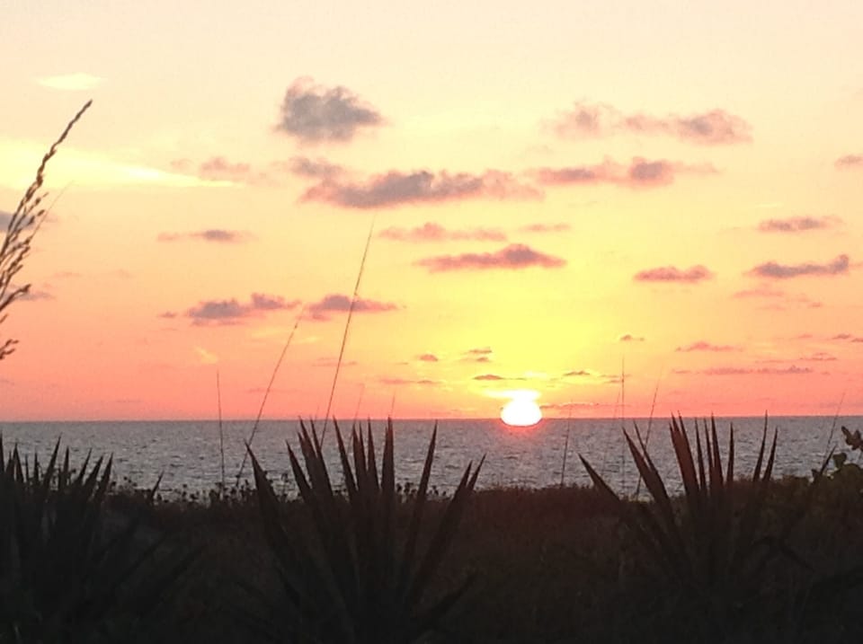 enjoy a relaxing sunset stroll on Madeira and Redington Shores beach. 
