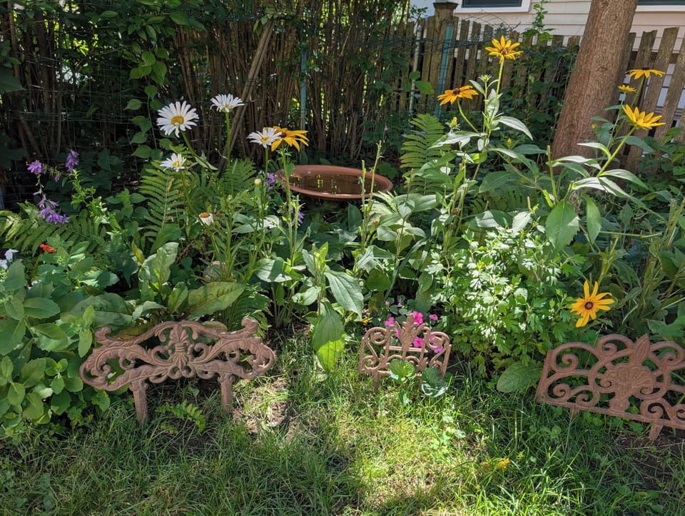 Garden in bloom 