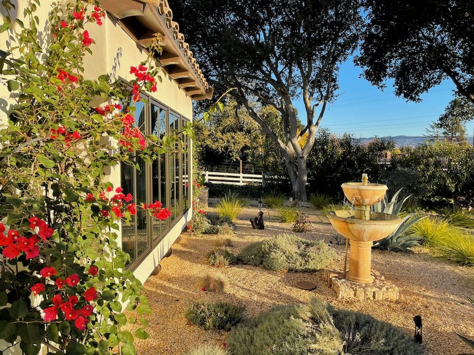 Side view of the front yard