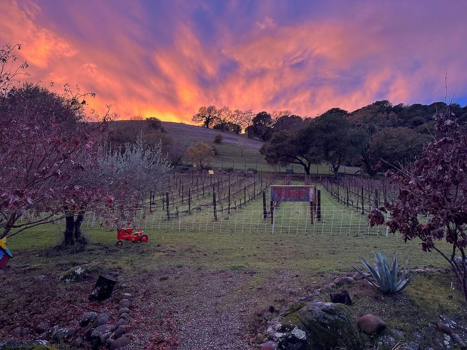 Winter Sunset