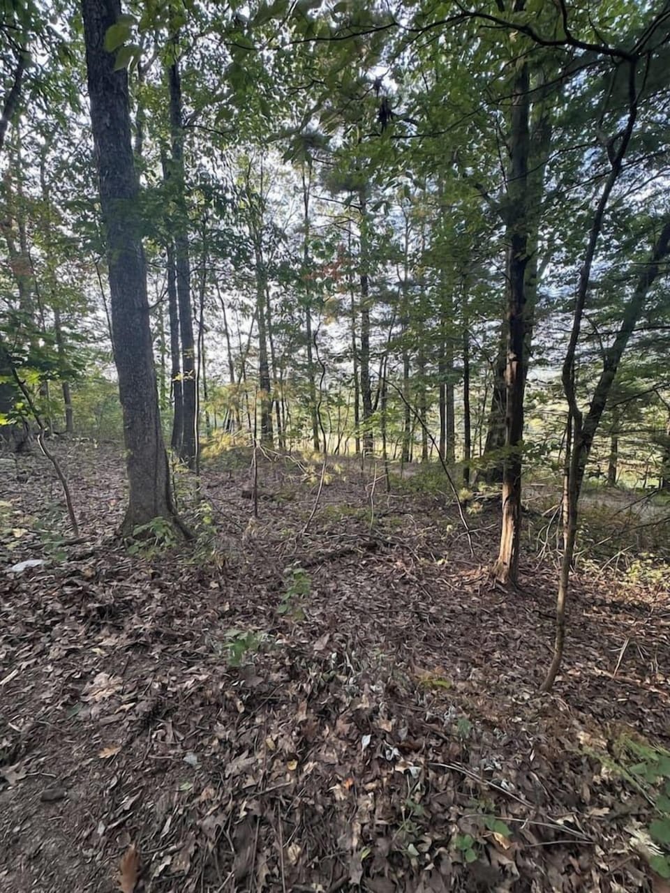 Nestled among mature trees, the property offers a peaceful woodland vibe plus a charming children’s play area—ideal for families to relax while the kids explore and enjoy nature.