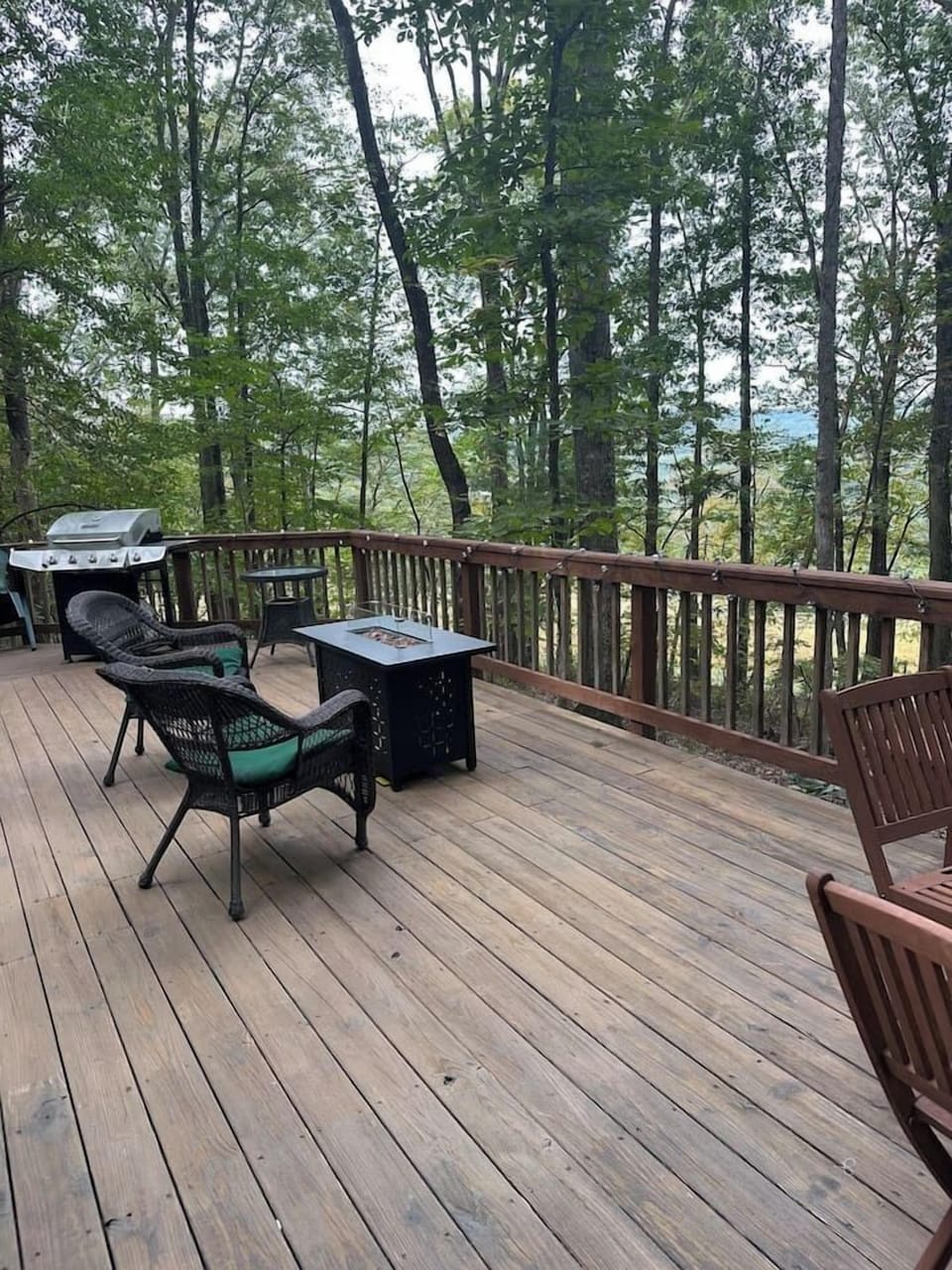 Propane fire pit and grill