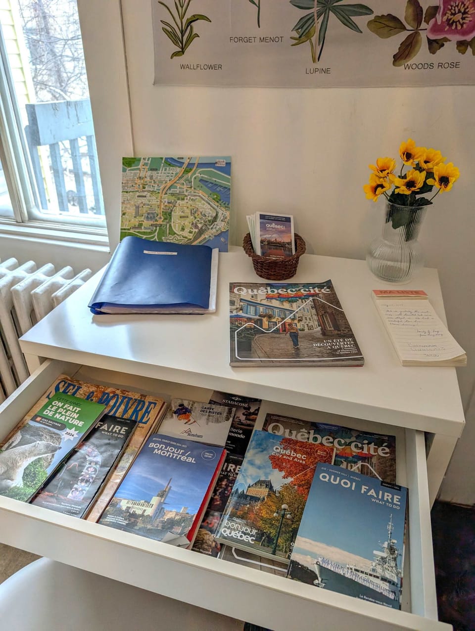 Station d'accueil dédiée aux voyageurs, équipée de guides de voyage locaux, de cartes et de brochures touristiques.