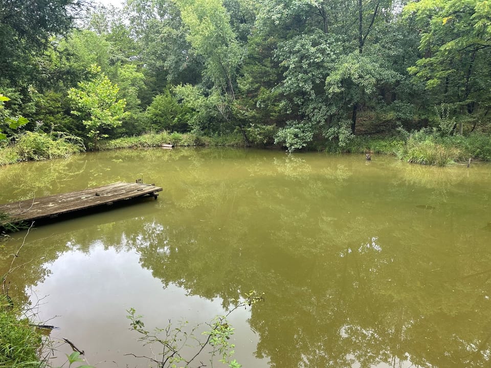 A serene pond setting perfect for relaxing walks and nature moments; dock access is restricted.