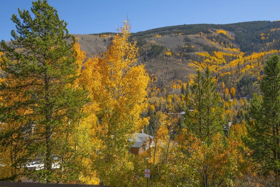 Townhome, 4 Bedrooms | Miscellaneous