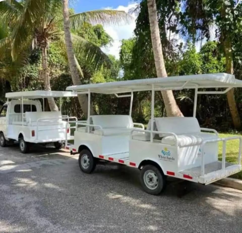 "Free Bus Beach Shuttle" 