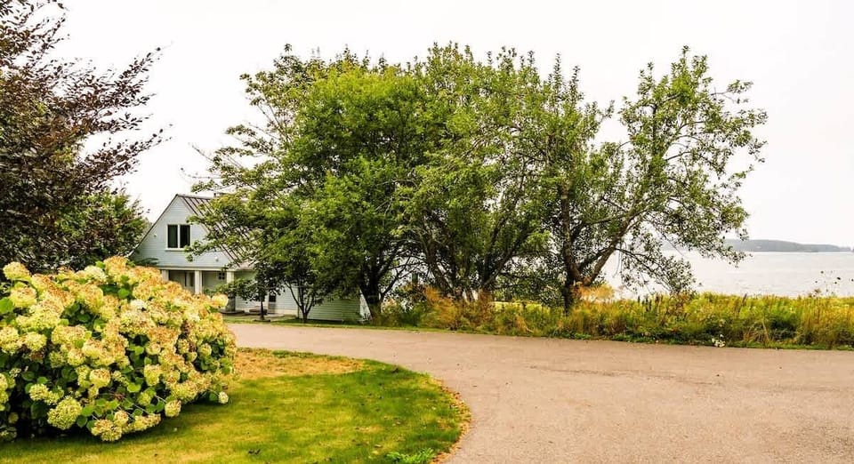 Enter the property on a private, winding road down to the Cottage at Seaside in Friendship