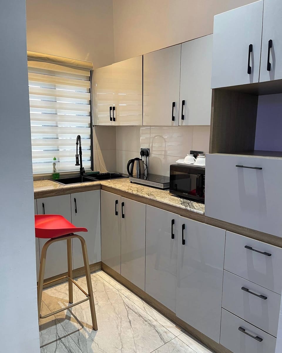 Family Apartment, Balcony, City View | Private kitchen | Fridge, microwave, oven, stovetop