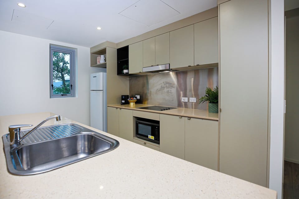 Apartment, City View | Private kitchen | Full-size fridge, microwave, stovetop, dishwasher