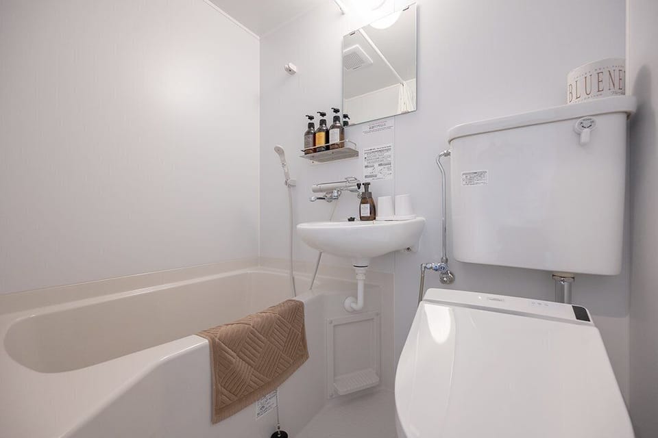 Combined shower/tub, hair dryer, bidet, towels