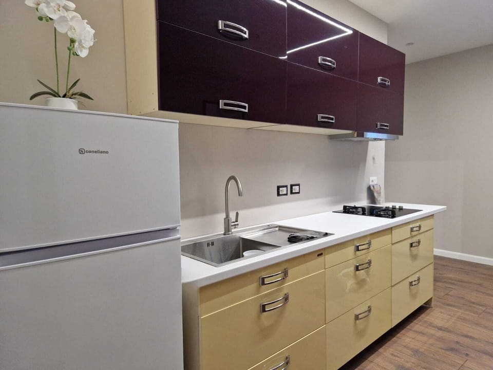 Apartment, 1 Bedroom, Balcony, Sea View | Private kitchen | Fridge, electric kettle