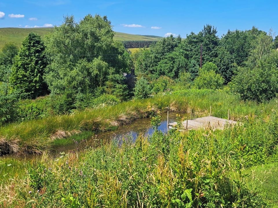Wildlife Pond | Saturn 2 - Tarset Tor, Hexham, near Bellingham