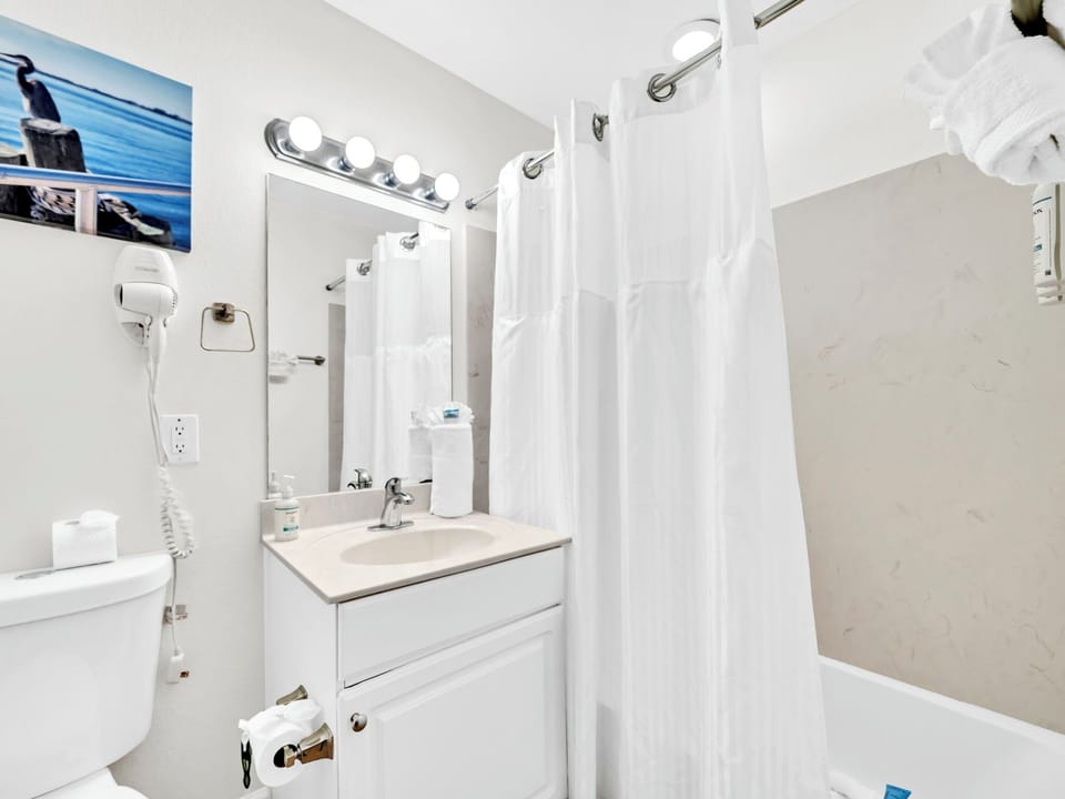Guest bathroom