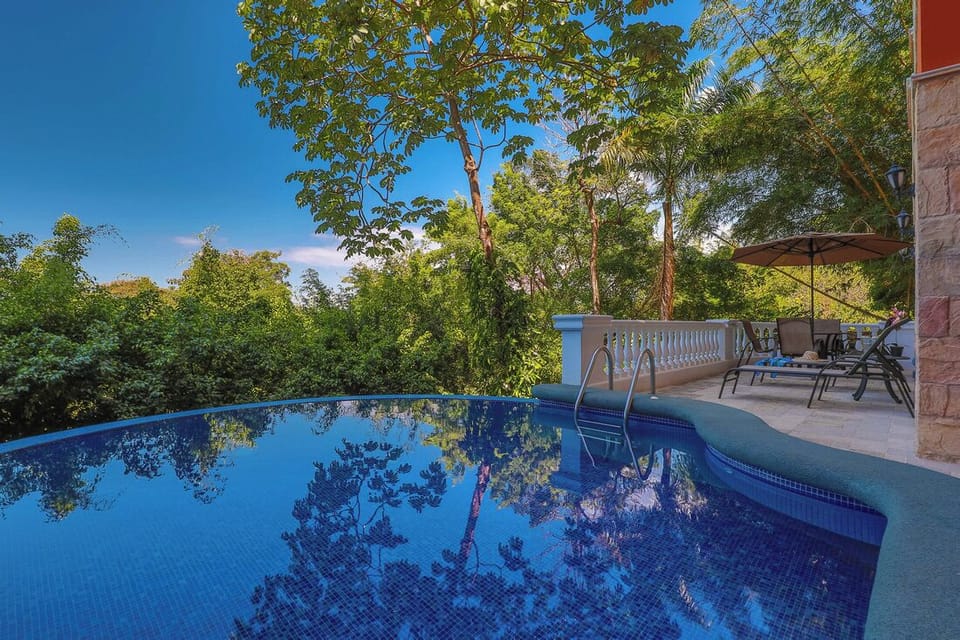Refreshing shared pool surrounded by tropical vibes