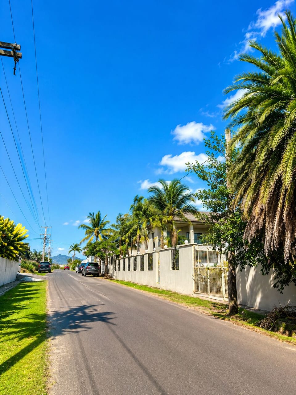 City view from property