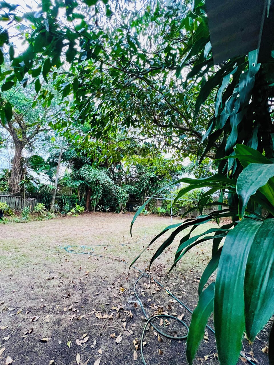 Comfort Apartment, Kitchenette, Garden Area | Garden view