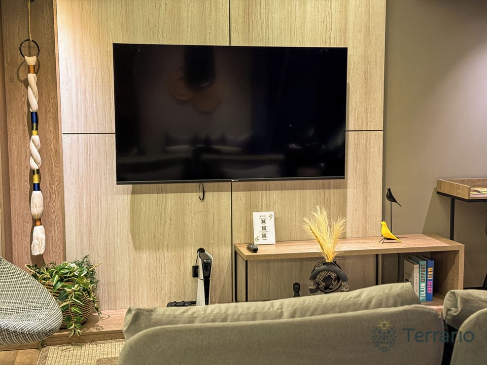 Television