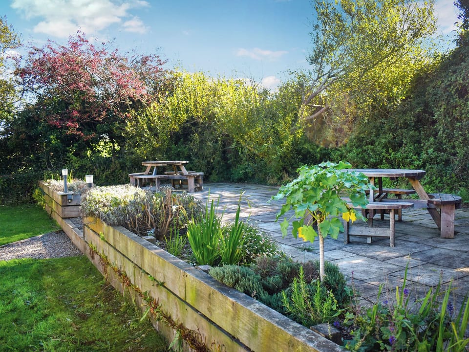 Outdoor | Cedars, Morthoe
