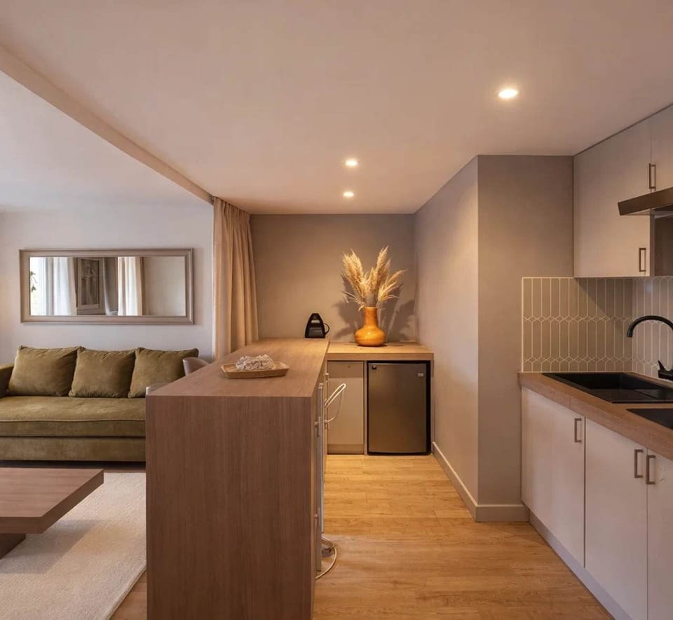 Fully-equipped kitchen with ustensils