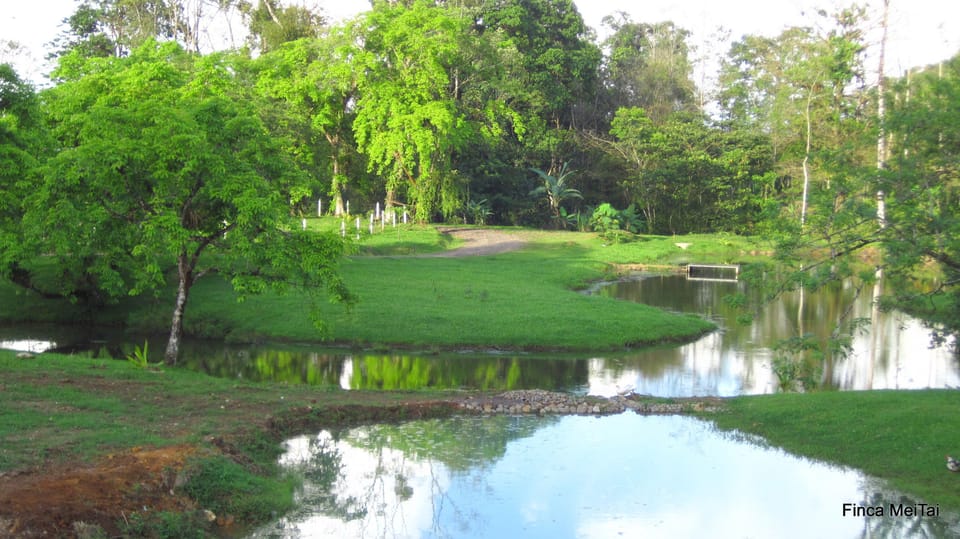 Lake
