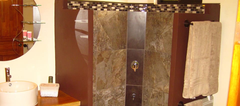 Shower, free toiletries, towels