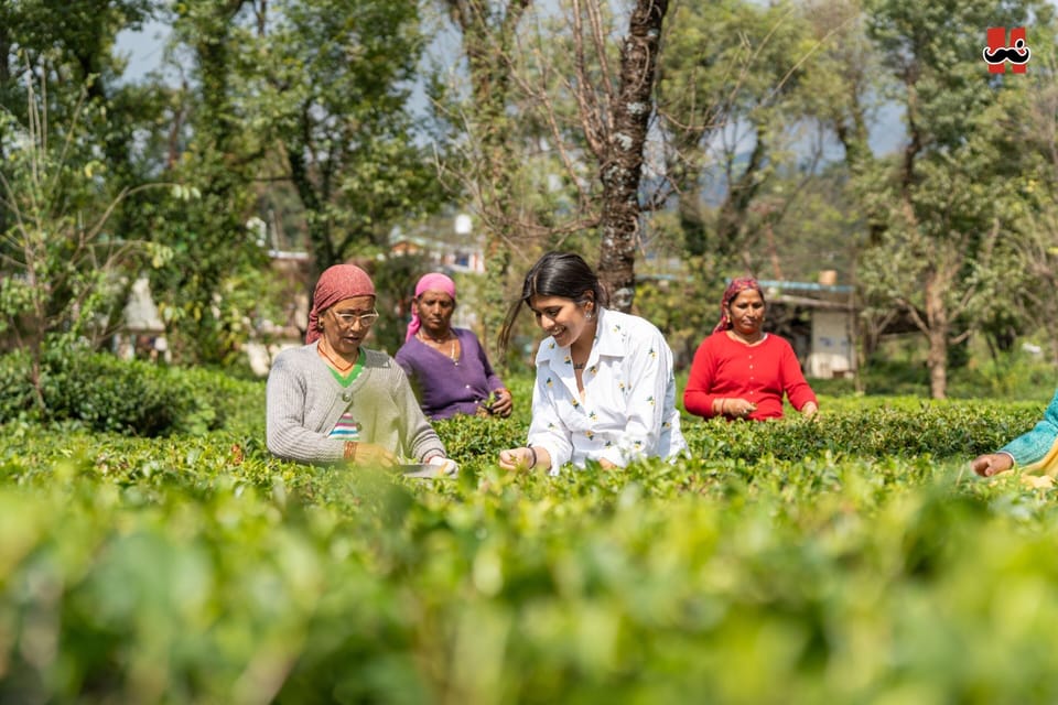 Moustache Hostel Bir Hostel in Himachal Pradesh