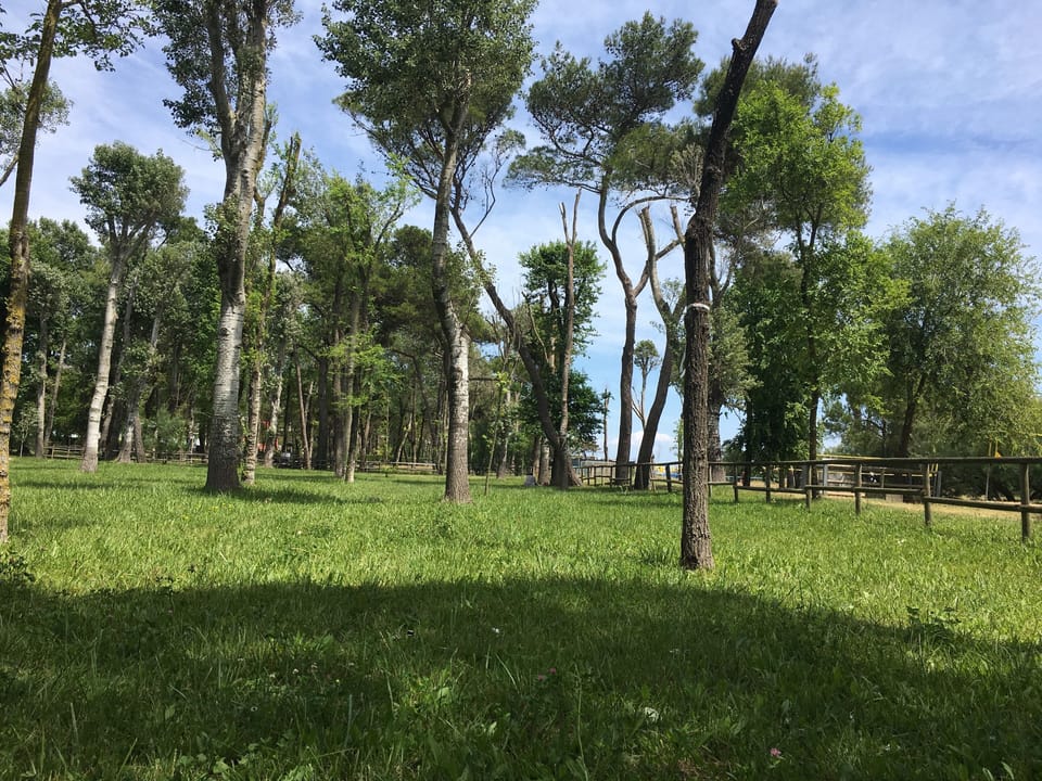 BBQ/picnic area