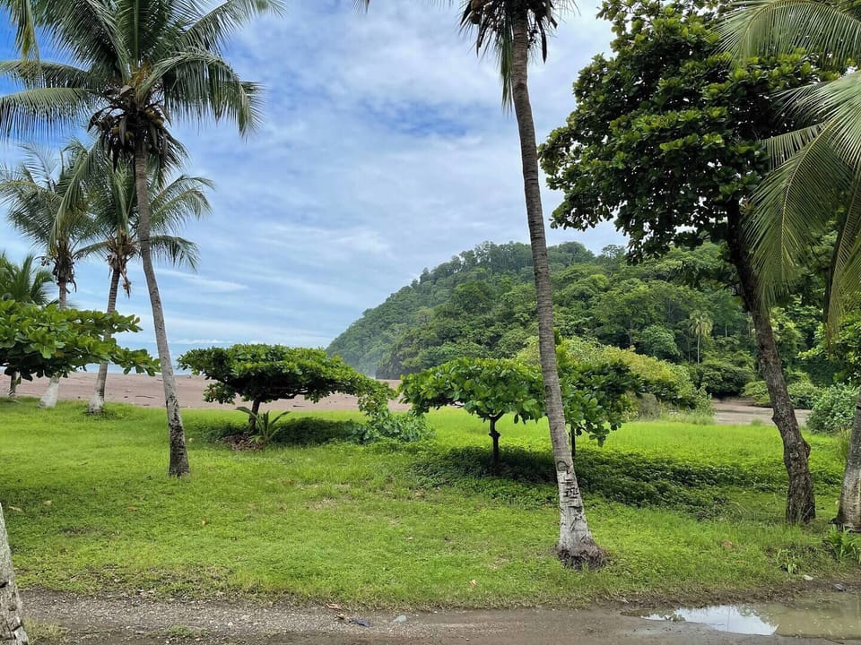 Our North Jaco Beach features grassy areas, volleyball court, and plenty of shade trees.  It's popular to lay on the beach in the morning and afternoon and picnic in the shade at mid-day.