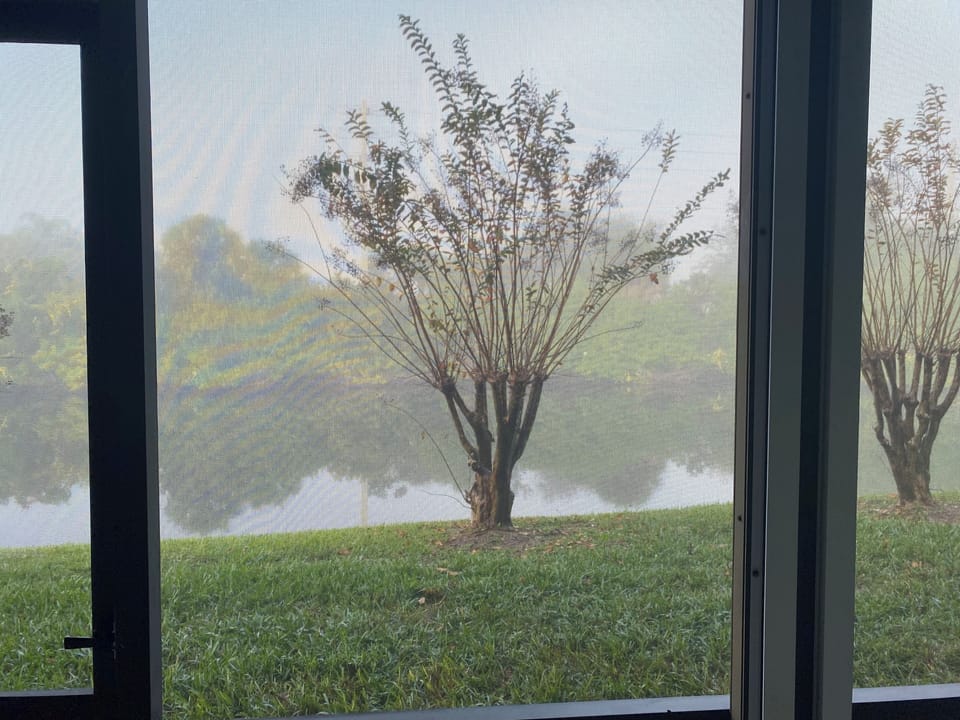 Ah! A beautiful foggy morning in January!