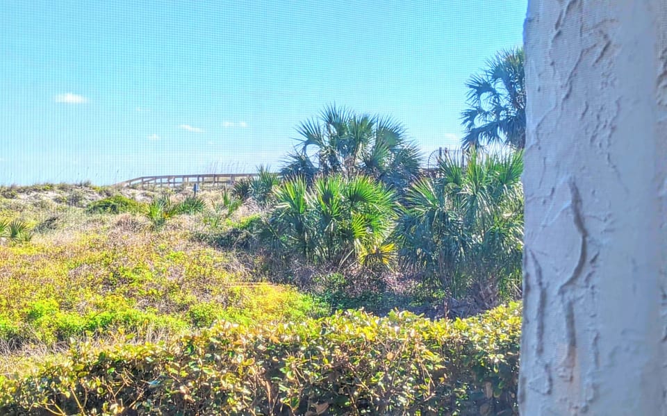 View From the Master Bedroom Window